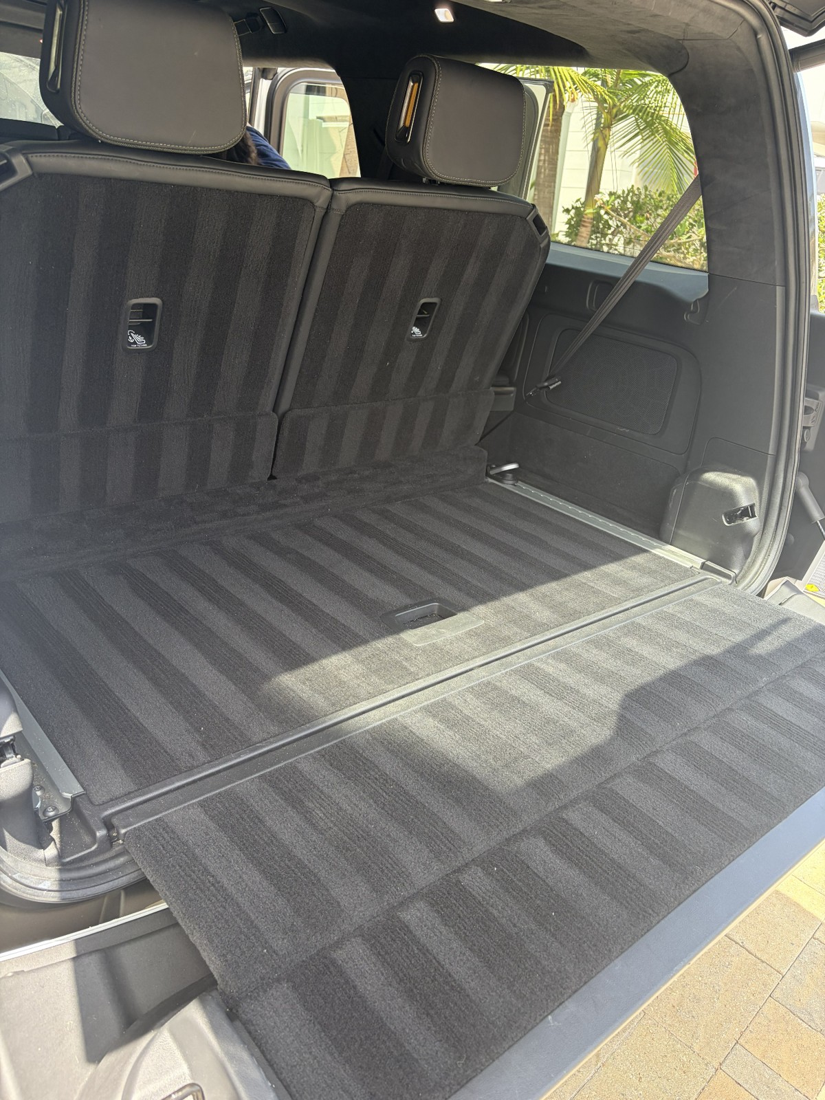Freshly cleaned SUV cargo area with carpet grooming lines